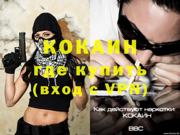 амф Михайловка