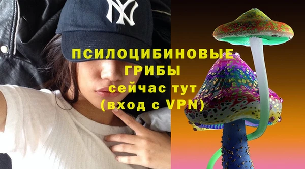 дмт Алзамай