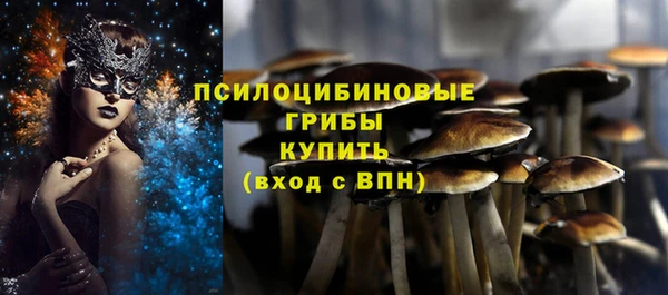 прущие грибы Алексеевка