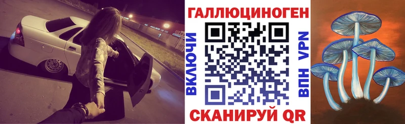 Купить где  Балей  Галлюциногенные грибы MAGIC MUSHROOMS 